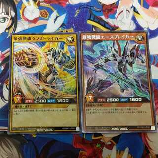 タフストライカーとエースブレイカー【最強戦旗】