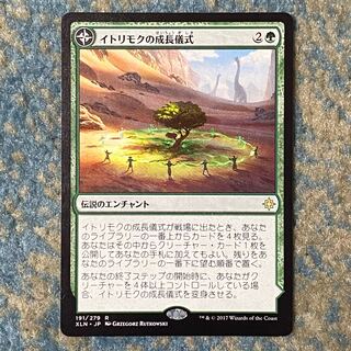 イトリモクの成長儀式［XLN］