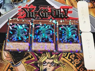 捕食植物セラセニアント 2 ノーマルパラレル 3枚セット てら