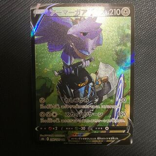 アーマーガアV CSR