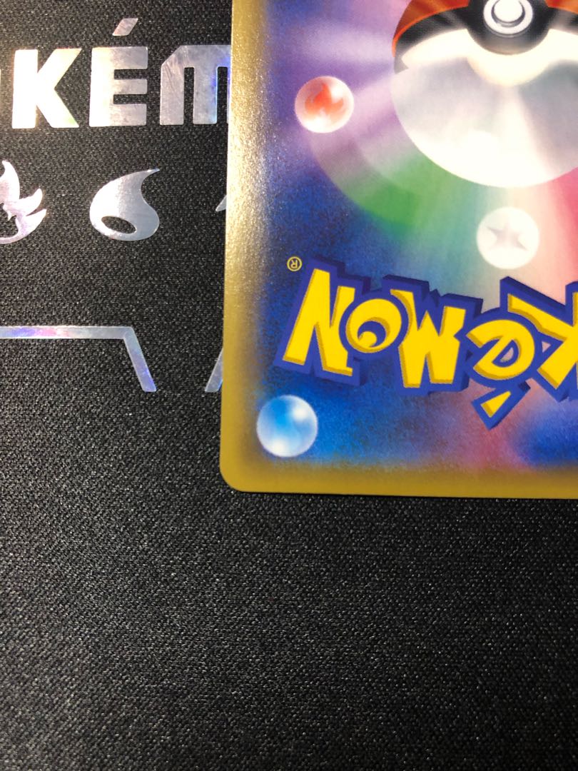 グレイシア@プロフに重要事項　様専用　かんこうきゃくSR