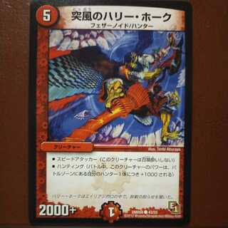 oki477 set discount Squall's Harry Hawk