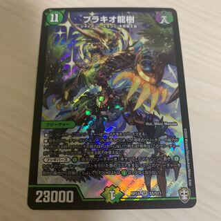 ブラキオ龍樹 1枚