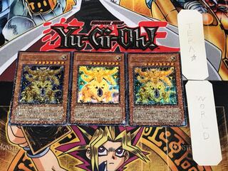 ワーム・キング 1 デュエルターミナル 3枚セット てら