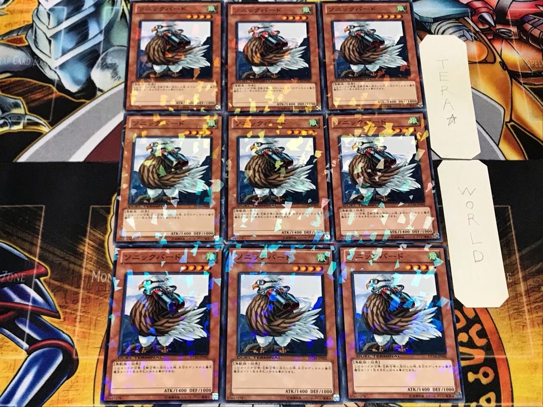 Sonic Bird 2 Dueling Terminals, set of 9, Tera.