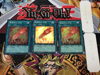 A Feather of the Phoenix 3 Super 3-pc. set Tera