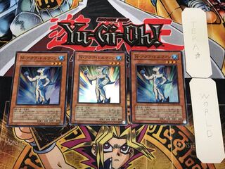 N・アクア・ドルフィン 3 スーパー 3枚セット てら