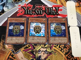 Winged Kuriboh 2 Super 3-Piece Set Terra