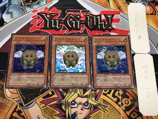 Winged Kuriboh 3 Super 3-Piece Set Terra