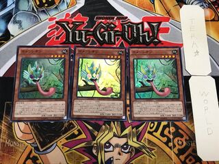 Masked Chameleon 3 Super Set of 3 Tera