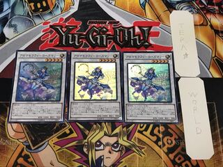 アロマセラフィ-ローズマリー 1 スーパー 3枚セット てら