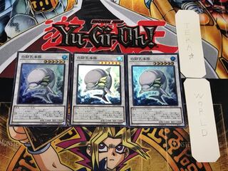 White Aura Dolphin 1 Super Set of 3 Tera