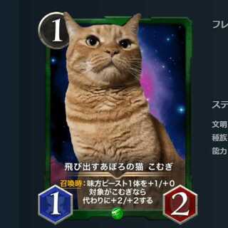 飛び出すあぽろの猫 こむぎ 2枚セット