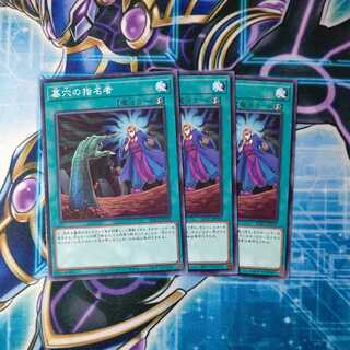 墓穴の指名者 ノーマル ３枚セット