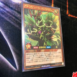 アトラシュート・ハイドロン　ゴールドラッシュ