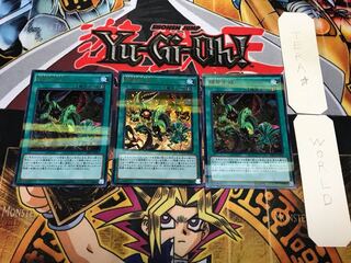 捕食生成 5 ウルトラパラレル 3枚セット てら