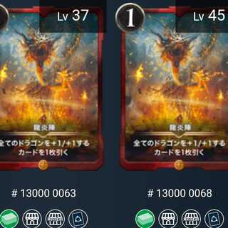 龍炎陣2枚（ラボ様専用出品）