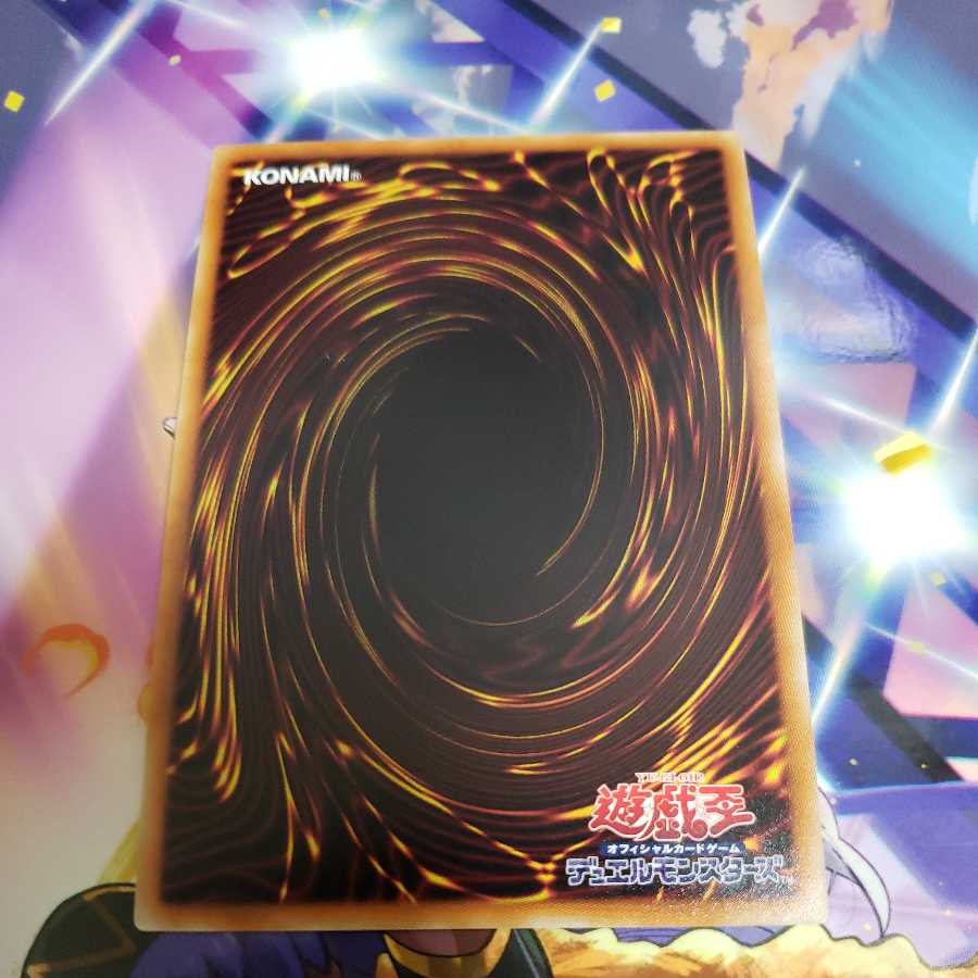 Majester Paladin, the Ascending Dracoslayer Secret Rare