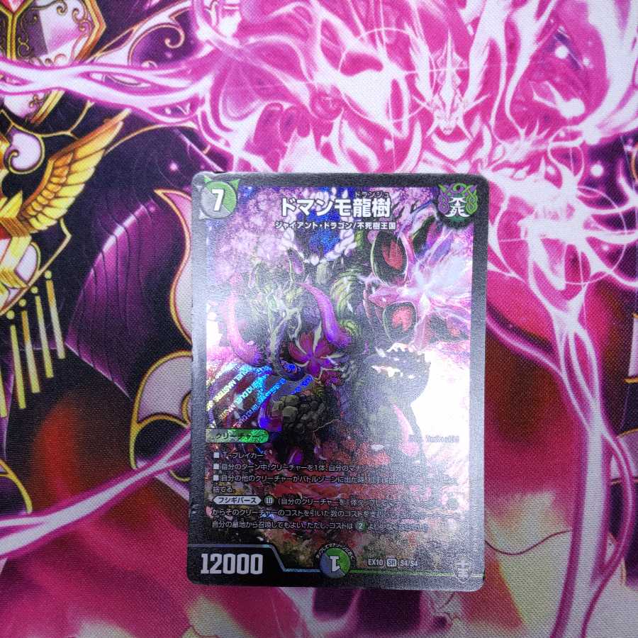 24時間以内に発送　ドマンモ龍樹