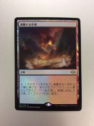 （美品）沸騰する小湖 254/303 FOIL