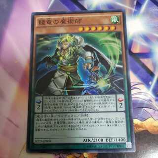 賤竜の魔術師 スーパーレア