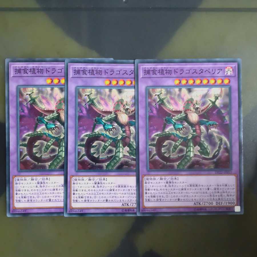 捕食植物ドラゴスタペリア✕3 ノーマル 【木林堂】