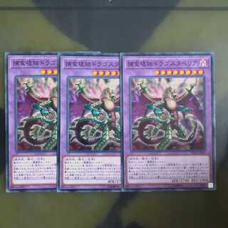 捕食植物ドラゴスタペリア✕３ ノーマル　【木林堂】