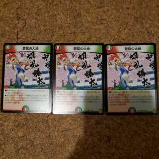 蒼龍の大地 3枚