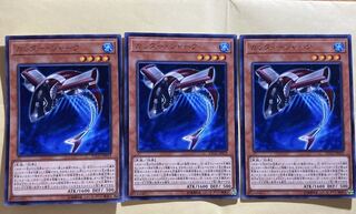 カッター・シャーク レア