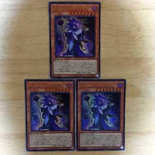 時花の賢者-フルール・ド・サージュ