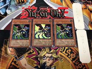 Insect Queen 2 Ultra, Set of 3, Terra