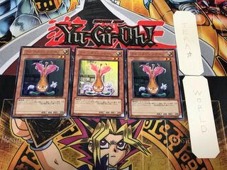 Fleur Synchron 2 Ultra Set of 3 Tera