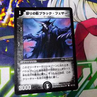 怒りの影ブラック・フェザー　2609