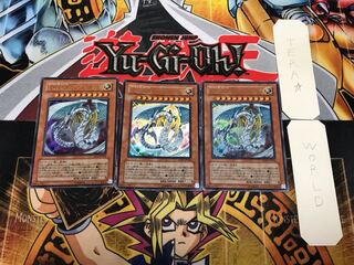 Rainbow Dragon 1 Ultra, set of 3, Tera