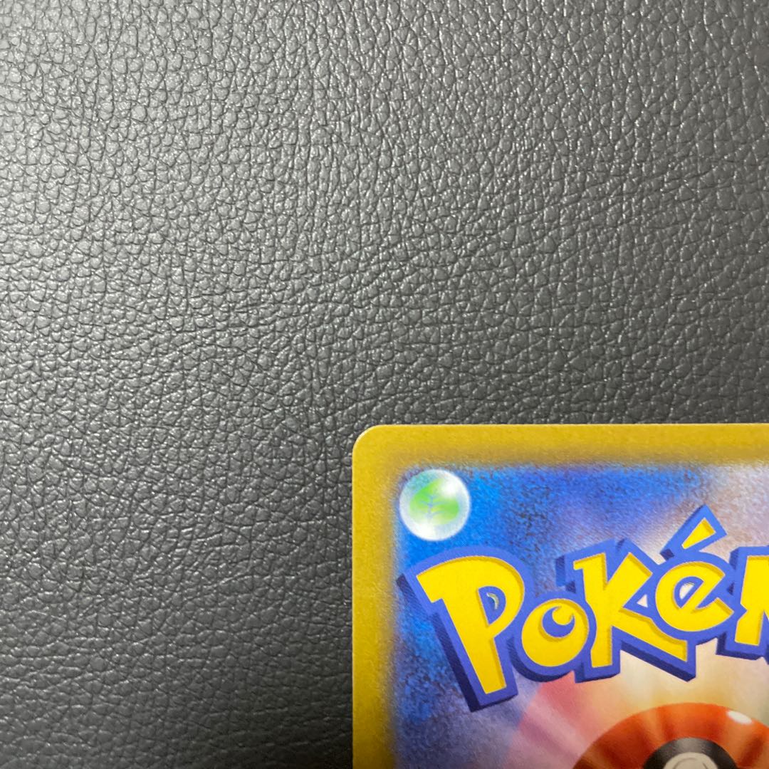 ザマゼンタV CSR