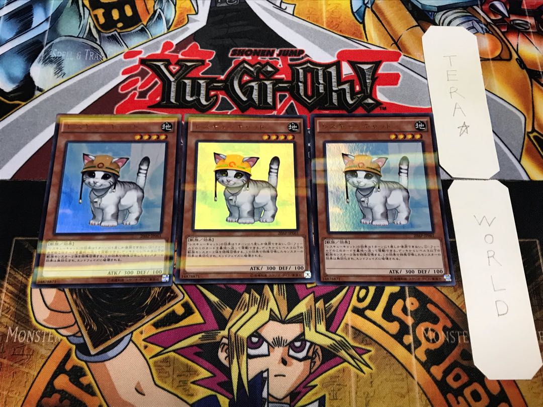 Rescue Cat 1 Ultra Parallel 3-card set Tera