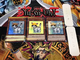 Rescue Cat 1 Ultra Parallel 3-card set Tera