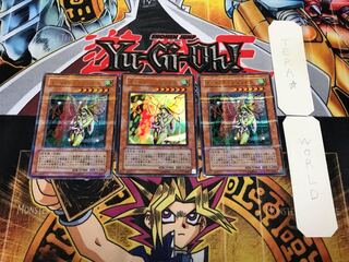 インセクト・プリンセス 307 1 ウルトラパラレル 3枚セット てら