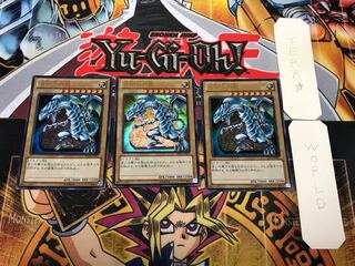 青眼の白龍 SD25 3 ウルトラ 3枚セット てら