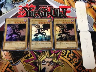 Red-Eyes Black Dragon YAP1 2 Ultra 3-Piece Set Terra