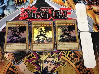 Red-Eyes Black Dragon YAP1 3 Ultra 3-Piece Set Terra