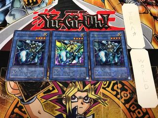 Paladin of White Dragon 302 2 Ultra Parallel Set of 3 Tera.