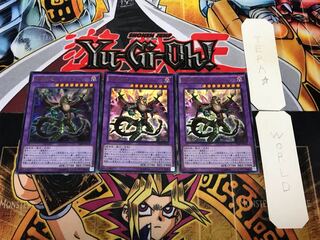 捕食植物ドラゴスタペリア 1 ウルトラ 3枚セット てら