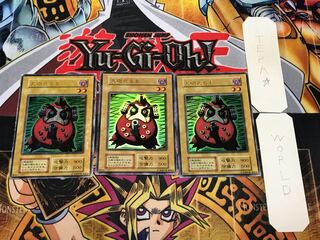 Dharma Cannon 1 Early Ultra 3-Piece Set Terra