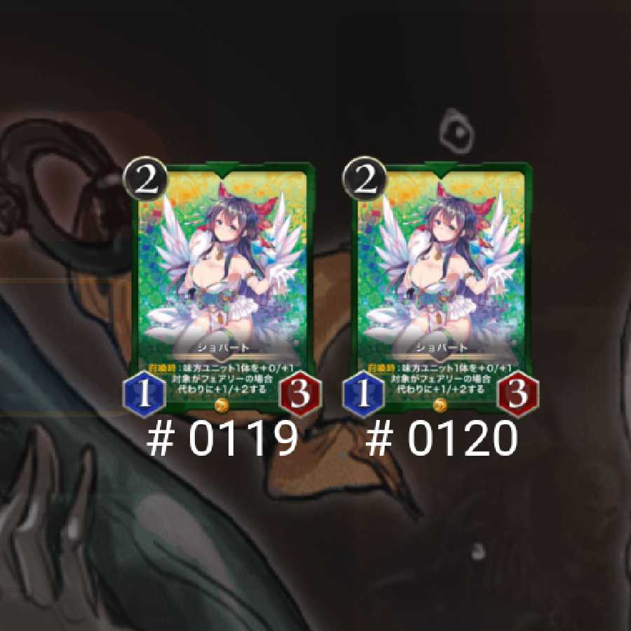 ショパート 2枚セット