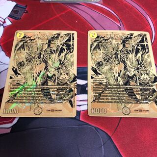 煌龍 サッヴァーク 2枚