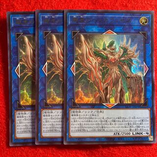 廻生のベンガランゼス☆4251