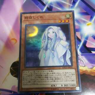 朔夜しぐれ スーパーレア