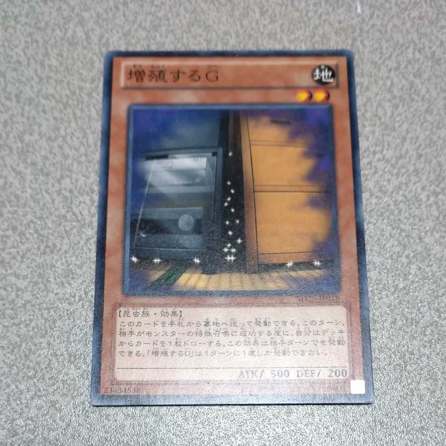 増殖するG ノーマル