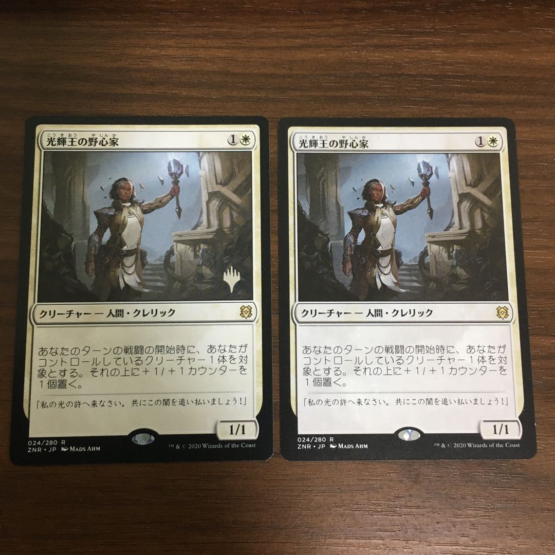 光輝王の野心家　2枚